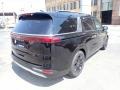Aurora Black Pearl - Carnival SX Prestige Photo No. 2