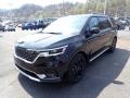 Aurora Black Pearl - Carnival SX Prestige Photo No. 5