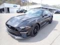 Shadow Black - Mustang GT Premium Fastback Photo No. 5