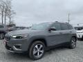 Sting-Gray - Cherokee Limited 4x4 Photo No. 1