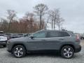 Sting-Gray - Cherokee Limited 4x4 Photo No. 4