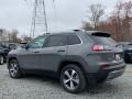 Sting-Gray - Cherokee Limited 4x4 Photo No. 6