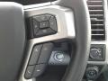  2019 F150 Platinum SuperCrew 4x4 Steering Wheel