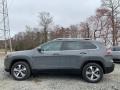 Sting-Gray - Cherokee Limited 4x4 Photo No. 4