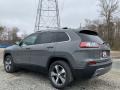 Sting-Gray - Cherokee Limited 4x4 Photo No. 6