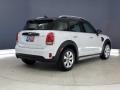 Light White - Countryman Cooper Photo No. 5