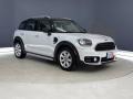 Light White - Countryman Cooper Photo No. 36