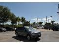 Platinum Gray Metallic - Tiguan SE Photo No. 1