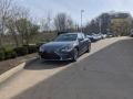 Nebula Gray Pearl - ES 250 AWD Photo No. 4