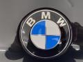 2021 Black Sapphire Metallic BMW X7 M50i  photo #5