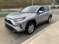 Silver Sky Metallic - RAV4 XLE AWD Photo No. 14