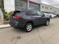 Magnetic Gray Metallic - RAV4 XLE AWD Hybrid Photo No. 15