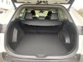 2021 Toyota RAV4 XLE Premium AWD Trunk