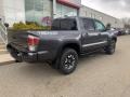 2021 Magnetic Gray Metallic Toyota Tacoma TRD Off Road Double Cab 4x4  photo #15