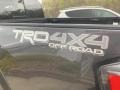 2021 Magnetic Gray Metallic Toyota Tacoma TRD Off Road Double Cab 4x4  photo #24