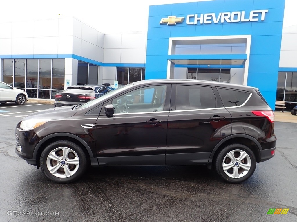 2013 Escape SE 1.6L EcoBoost 4WD - Kodiak Brown Metallic / Charcoal Black photo #3