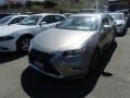Silver Lining Metallic - ES 350 Photo No. 2