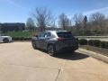 Nebula Gray Pearl - UX 250h AWD Photo No. 4