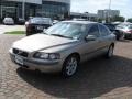 Ash Gold Metallic - S60 2.4 Photo No. 2