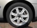 Ash Gold Metallic - S60 2.4 Photo No. 5