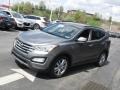 Mineral Gray - Santa Fe Sport 2.0T AWD Photo No. 5