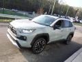 Lunar Rock - RAV4 Adventure AWD Photo No. 14