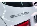 Polar White - GLC 300 Photo No. 31