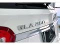 Polar White - GLA 250 Photo No. 31