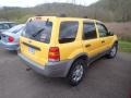 2001 Chrome Yellow Metallic Ford Escape XLT V6 4WD  photo #14