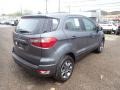 Smoke Metallic - EcoSport S Photo No. 2