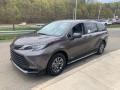 2021 Predawn Gray Mica Toyota Sienna LE Hybrid  photo #12