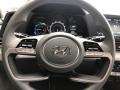 2021 Electric Shadow Hyundai Elantra Blue Hybrid  photo #10