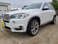 Alpine White - X5 xDrive35i Photo No. 2
