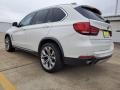 Alpine White - X5 xDrive35i Photo No. 11