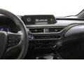 Silver Lining Metallic - UX 250h AWD Photo No. 9