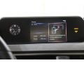 Silver Lining Metallic - UX 250h AWD Photo No. 10