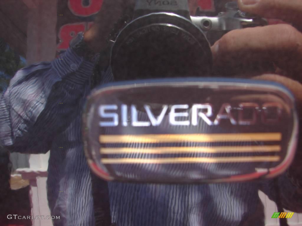 2005 Silverado 1500 Z71 Regular Cab 4x4 - Dark Gray Metallic / Dark Charcoal photo #16