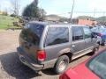 1999 Black Clearcoat Ford Explorer XLT 4x4  photo #12