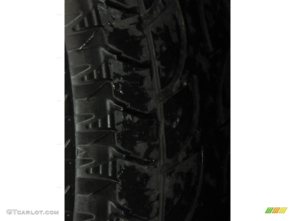 2004 F150 FX4 SuperCrew 4x4 - Black / Dark Flint photo #23