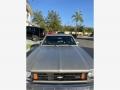 Silver - Nova Coupe Photo No. 8