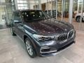 2021 Arctic Gray Metallic BMW X5 xDrive40i #141819753