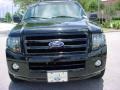 2007 Black Ford Expedition Limited  photo #9