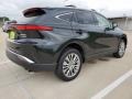 Celestial Black - Venza Hybrid Limited AWD Photo No. 3