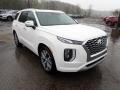 2021 Hyper White Hyundai Palisade Limited AWD  photo #3