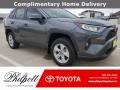 Magnetic Gray Metallic - RAV4 XLE Photo No. 1