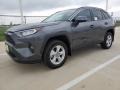 Magnetic Gray Metallic - RAV4 XLE Photo No. 2