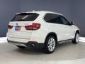 Alpine White - X5 sDrive35i Photo No. 5