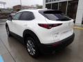 Snowflake White Pearl Mica - CX-30 Premium AWD Photo No. 2