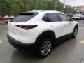 Snowflake White Pearl Mica - CX-30 Premium AWD Photo No. 5