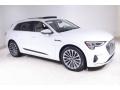 Glacier White Metallic 2019 Audi e-tron Prestige quattro Exterior